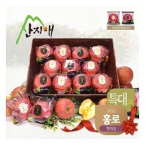 [산지애] 2023년 특대 햇사과(3.5kg) / 9~11과