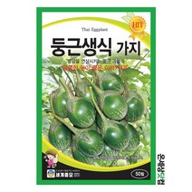 둥근생식가지 50립 / 가지 씨앗 종자 텃밭키우기 채소키우기