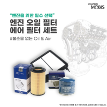 아반떼 AD HD MD 순정 에어클리너 오일필터 세트, MD 가솔린