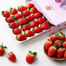 [푸드빌리지] 생딸기 설향 딸기 750g 30구, 2팩