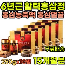 남녀노소 대용량 홍삼 진액 레드진생 맛있는홍삼