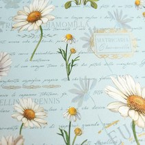 [수입포장지] 캐모마일 골드