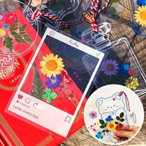 오렌지e몰 누름꽃 압화 투명 책갈피 만들기 - F세트, 단품