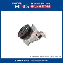 펌프 쿨런트 (251002F700)