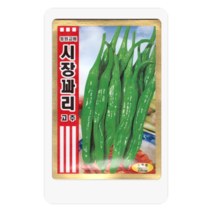 시장꽈리고추씨 200립 꽈리고추 고추 씨앗 대장 동원종묘