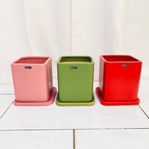 청년농부 귀염3색 사각 중형화분 사각화분 컬러화분 이쁜화분 분갈이화분, 초록
