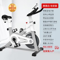 실내자전거 홈트 자전거 실내 스피닝 접이식 헬스 싸이클 좌식 스핀바이크, C-럭셔리