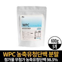 미국산 웨이 프로틴 WPC 농축유청단백질 분말 가루 더블유피시 떠블유피시 단백질보충제 헬스 전 후 마시는 담백질 파우더 쉐이크 남성 여성, 5개, 600g