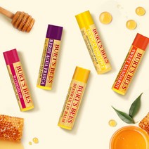 버츠비 모이스춰라이징 립밤 2개 골라담기, 09 워터 멜론 립밤/12 베리아구, 09_워터 멜론 립밤/12_베리아구아 립밤