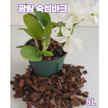 숙성 화분갈이바크8L 소나무 껍질 서양란분갈이전용 블루베리 아로니아 원예 조경용 파충류바닥재