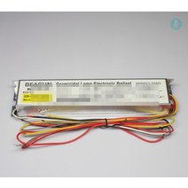 BEASUN RL1-800-100 100W/75W/80W 물 처리 UV 램프 전자식 안정기