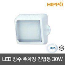 히포 LED방수등 방습등 외부벽등 욕실등 주차장등 모음, 19_LED주차장진입등 30W 화이트 주광색