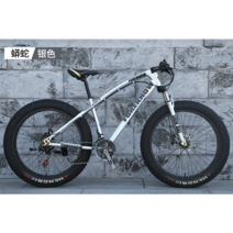 풀샥 MTB 자전거 고급 오프로드 두꺼운 타이어, 디자인 7_24단_26 인치
