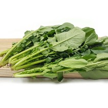 [특급] 루꼴라 1kg (0.9~1kg) 박스