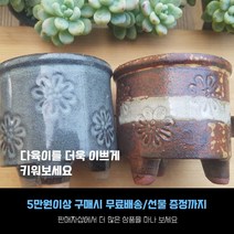 다육 다육화분 - 원통형 화분 2개세트 예쁜화분