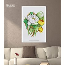 아이엠스톡 인테리어 액자 Yellow Pond Lily 캐나다 야생화 005 캔버스액자, 블랙원목