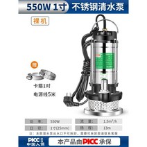 수중펌프 지하집수정 물빼기 배수펌프 농업용양수기 펌프, 550W1인치5m케이블-베어