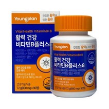 고농축비타민B 비타민b군 영진약품 800mg 90정 플러스