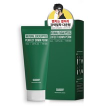 스웨거 퍼펙트 다운펌 150ml, 1개