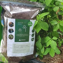 삼마 쑤욱 분갈이 흙 4L 상토 원예용 바이오차 미생물 용토 배양토 냄새없는 화분 텃밭용 흙 마사토 대용