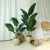 해초바구니에 담긴 여인초 극락조 조화나무 (120cm/160cm), 120cm+바구니소