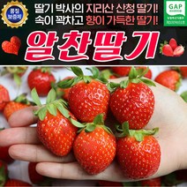 산청 알찬 딸기 초이스 난좌 24과 750g내외
