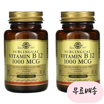 [솔가]-M2-비타민 B12 시아노코발라민 설하정 1000mcg 250너겟[[2통]], 2개, 250개