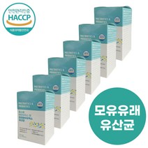 갱년기유산균YT1 모유유래유산균 락토바실러스 플란타럼 가세리 배변활동 원활 LGG RGG 6박스