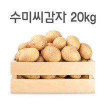 강원도 대관령 왕산면 정품 씨감자 4kg 10kg 20kg 보급종 수미 두백 필대성, 수미감자(반찬용)