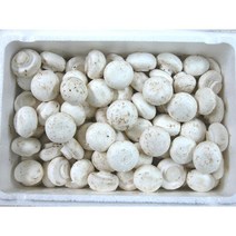 양송이버섯 200g