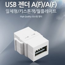 월플레이트 USB 젠더 키스톤잭고정형 월플레이트 키스톤 판넬형 USB 잡재, 본상품