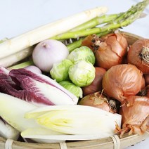 소포장 야채 골라담기 (아스파라거스 샬롯 등 5종), 펜넬 500g
