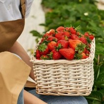 킹스베리딸기 대왕 왕 생딸기 350g 700g