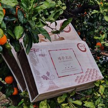 새해과일선물세트 제주 천혜향 3kg 5kg(대과 선물용쇼핑백증정) 그윽한 향과 팡팡 터지는 과즙 품격있는, 천혜향 3kg(대과 9-12수/선물용쇼핑백증정)