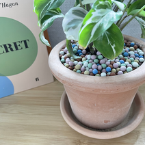 가든을가꾸다 컬러하이드로볼 칼라황토볼 세라믹볼 300g