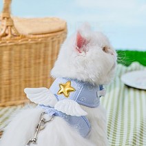 chol 강아지 고양이 천사 날개 하네스 리드줄 세트, 파란색, S