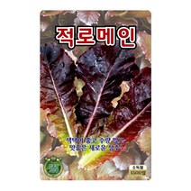 로메인상추씨앗 1500립 적로메인상추 씨앗 대장 KS종묘, 1개