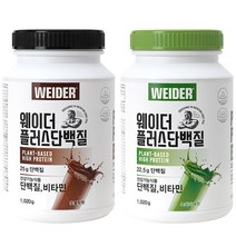 웨이더 플러스 단백질 보충제 1.02kg, 초콜릿 맛