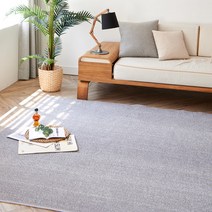 [모두의러그] 데일리 단모 극세사 사계절 러그 170X230