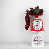 타니타 아날로그 주방저울 (1439) 2KG, 화이트