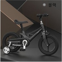 디와이(DY) Phoenix 아동 어린이 자전거 12 14 16인치 레드 무지개 블랙 핑크, 블랙+12인치