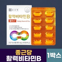 비타민비 종근당 활력 비타민b 60정, 1박스