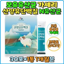 산양유단백질 N유산균 엔유산균 단백분말 프락토올리고당 혼합유산균 프로바이오틱스 프로바이오스틱 가세리유산균 산양유분말 가루 파우더 스틱 락토바실러스 가세리 BNR17 22종 네덜란드 프리미엄