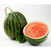 하우스수박 달콤한고당도 12 브릭스이상 달달한 꿀수박 4kg 5kg 6kg내외 왕수박, 01_가정용 꿀수박 (3~4kg)