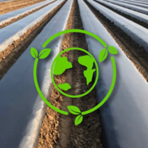 멀칭 비닐 친환경 생분해 주말농장 텃밭 배추 이지 멀칭 필름 농업용 비닐 300mm, 90x300