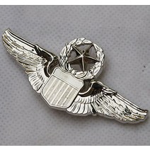 USAF 미국 공군 명령 파일럿 금속 날개 배지 핀-US201, 한개옵션0