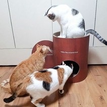 RT 고양이 반려묘 스크래처 하우스 숨숨집 놀이집, 단품