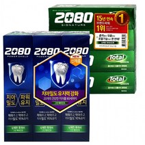 생활용품 최저가파워쉴드3개 LW 애경2080 시그니처4개 치약, E2080파워쉴드 그린페파민트140그램X3개입