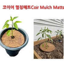아시아종묘 코이어 멀칭매트 15cm