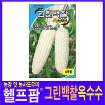 헬프팜 그린백찰옥수수 100립 종자 그린하트바이오